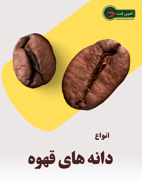 انواع دانه های قهوه برند